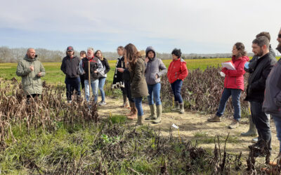 Séminaire TAArGET : la clôture d’un projet clé sur l’arrêt du glyphosate et l’ouverture vers de nouveaux projets